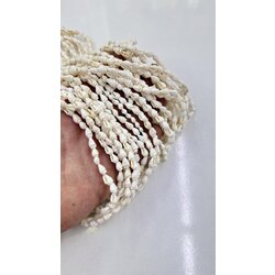 Dizi Deniz Kabuğu