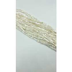 Beş Yaprak Yonca Sedef 6MM