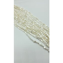 Yassı Sedef 6MM