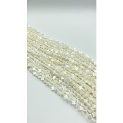 Dört Yaprak Sedef Yonca 6MM