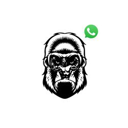 Gorilbey Takım Kampı (WhatsApp)