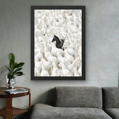 Siyah At Tablosu | Beyaz Atlar İçinde Modern Duvar Posteri