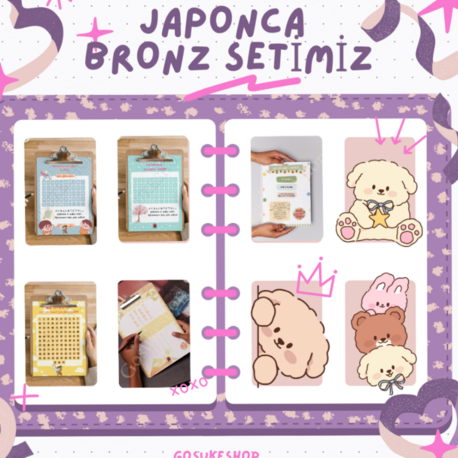 Japonca Öğreniyorum Seti Bronz