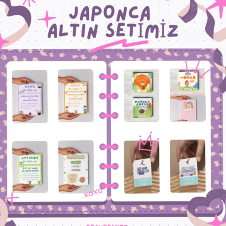 Japonca Öğreniyorum Seti Altın