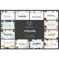 Font Bundle