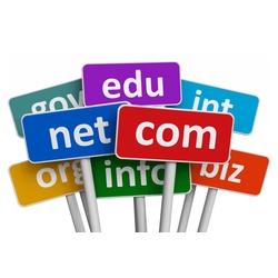 Domain ( Alan Adı)