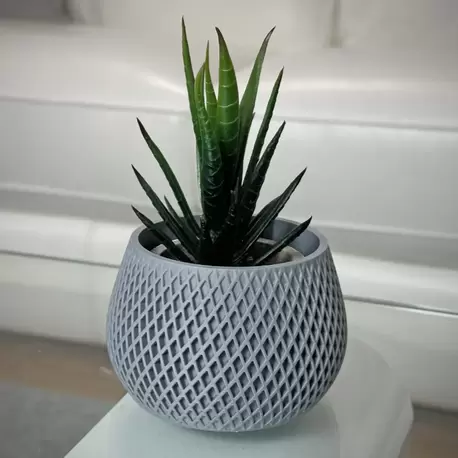 Çift Spiral Saksı