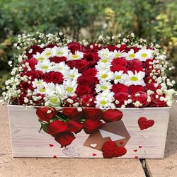 S & F AŞK KUTUSU