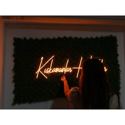 kıskananlar haklılar neon led 