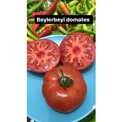 Beylerbeyi Domates