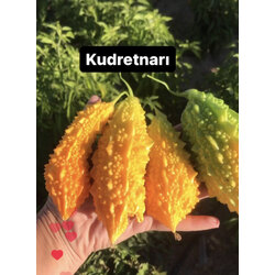 Kudretnarı tohumu 