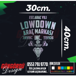 Lowdown Ses Sistemi Arka Cam Sticker