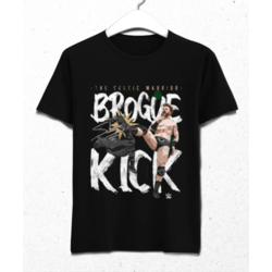 Sheamus - Brogue Kick