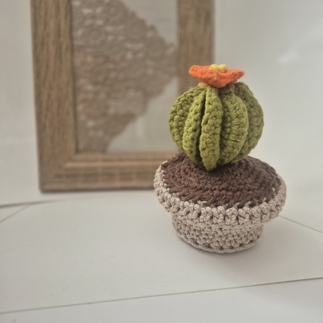 Mini kaktüs 