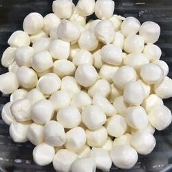 MİSKET PEYNİRİ1.KG