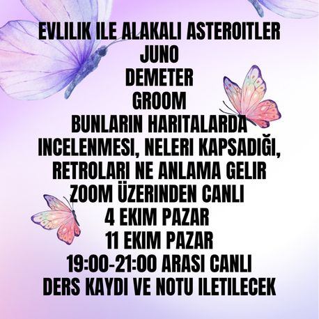 JUNO - DEMETER - GROOM SEMİNERİ