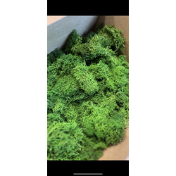 İthal yosun - 30 gram 