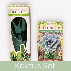 Kaktüs Set