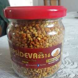 Polen 