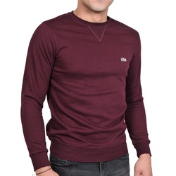 Lacoste Bordo Sweatshirt