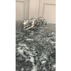 leopar