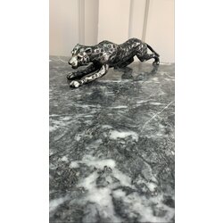 leopar 