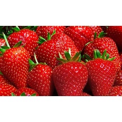 Çilek 1 KG