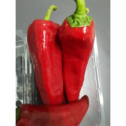 1 Kg Kapya Biber