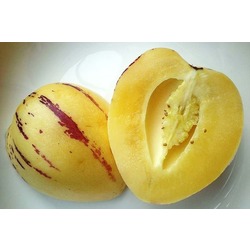 Pepino Adet