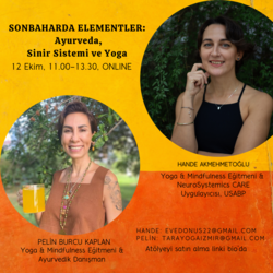 Sonbaharda Elementler: Ayurveda, Sinir Sistemi ve Yoga 