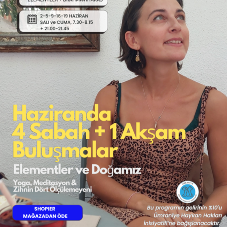 Haziranda Element Odaklı Yoga ve Meditasyon Buluşmaları