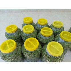 Kaya koruğu 5 kg