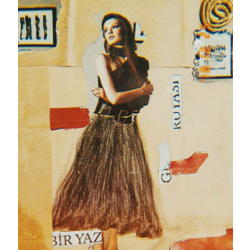 1 yaz gecesi rüyası