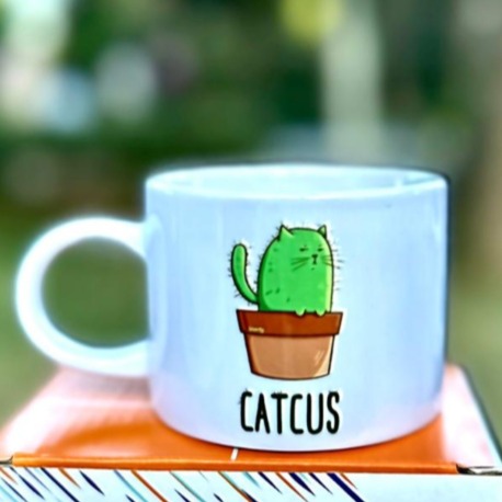 CATCUS SEVİMLİ KEDİCİK