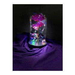 Fanusta RGB Led Işıklı ve Ayıcıklı Pembe sonsuzluk gülü
