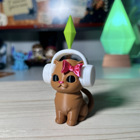Kulaklıklı Kedi