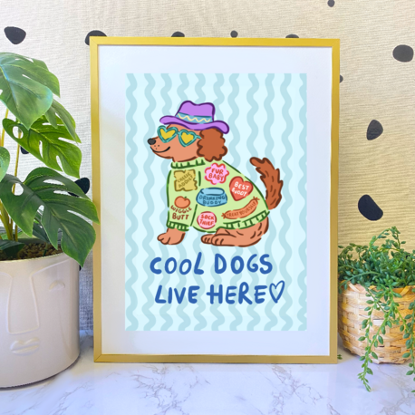 COOL DOGS BASKI