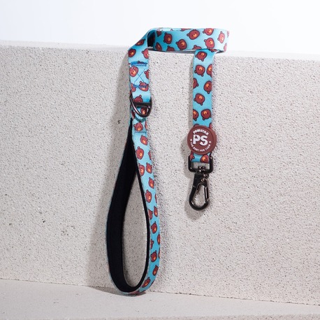 Pawstar Bears Köpek Gezdirme Kayışı 120 cm 