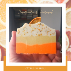 Citrus Sabunu