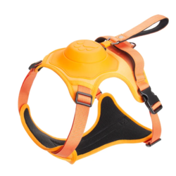 Dog Harnes & Leash 