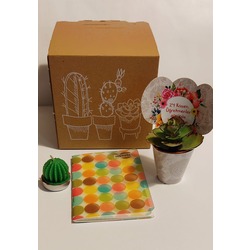 ÖĞRETMENİM CANIM BENİM SET-1