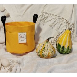 Yellow Pumpkin 