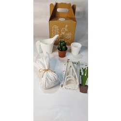 Kaktüs Bakım ve Dikim Seti- Beyaz