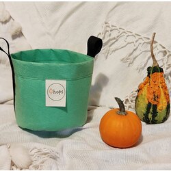 Green Pumpkin