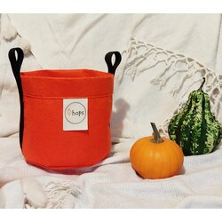 Orange Pumpkin
