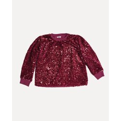 Payetli Sweatshirt 