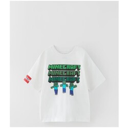 minecraft tişört 