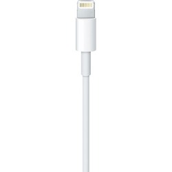 Apple USB-C - Lightning Kablosu (1 m)