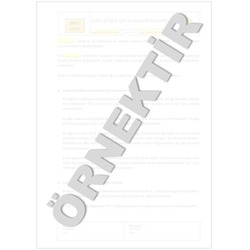 Şirket İçi Ağ Erişimi ve Güvenliği Prosedürü