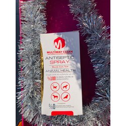 Multiway Clean Antiseptic Sprey